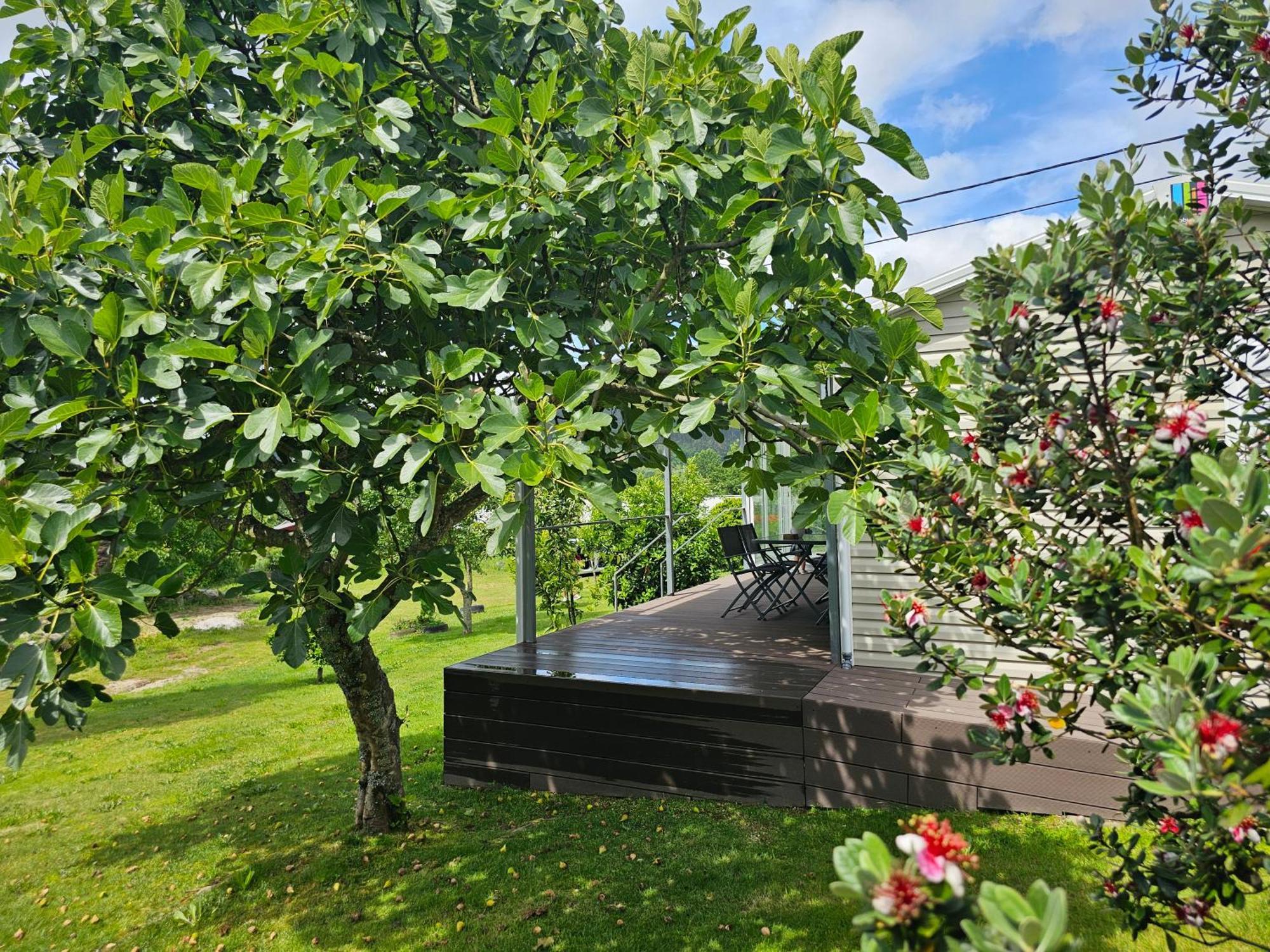 Country house Quinta De Cima